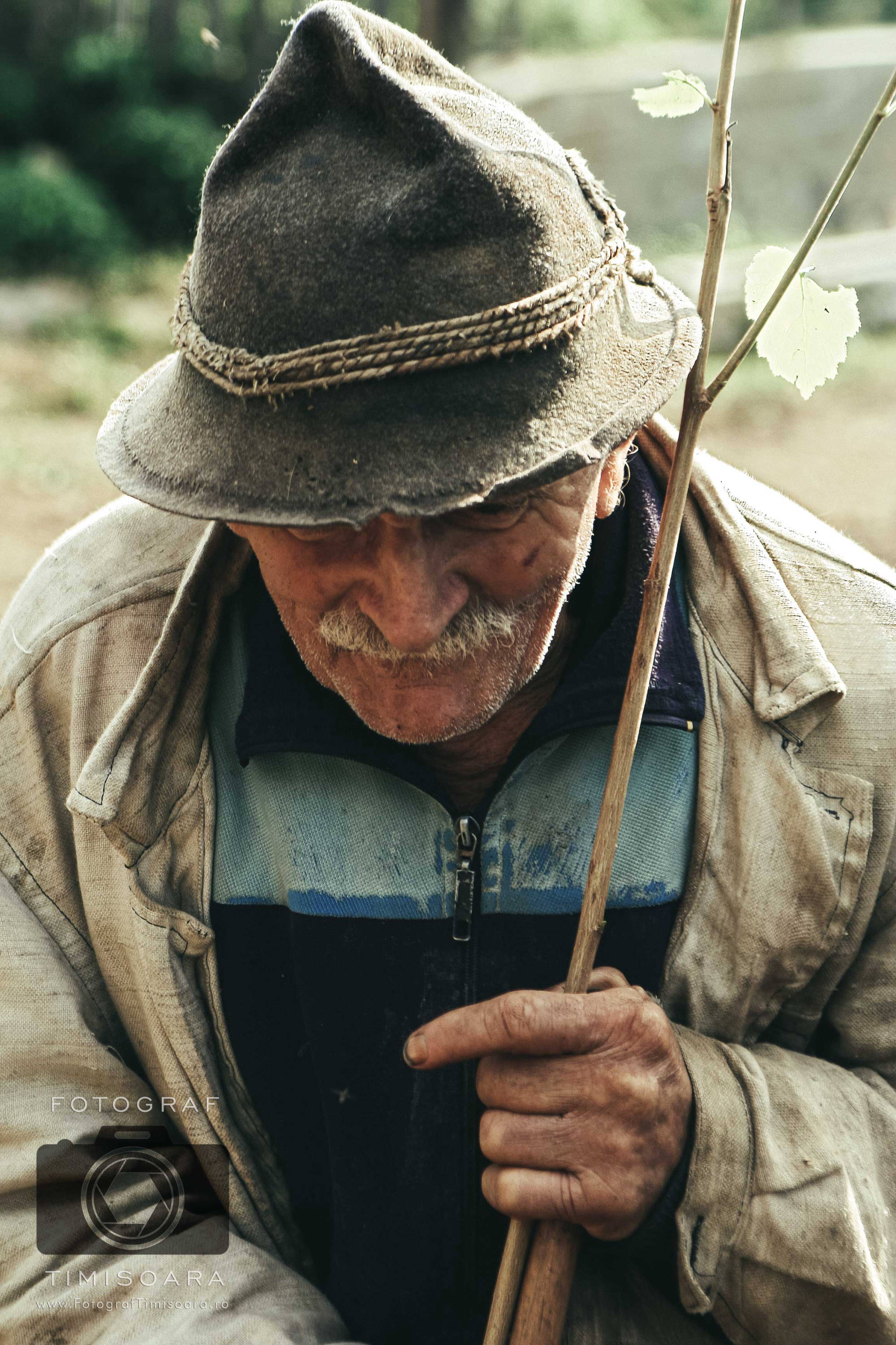 Fotograf Timisoara, Foto Video Timisoara
