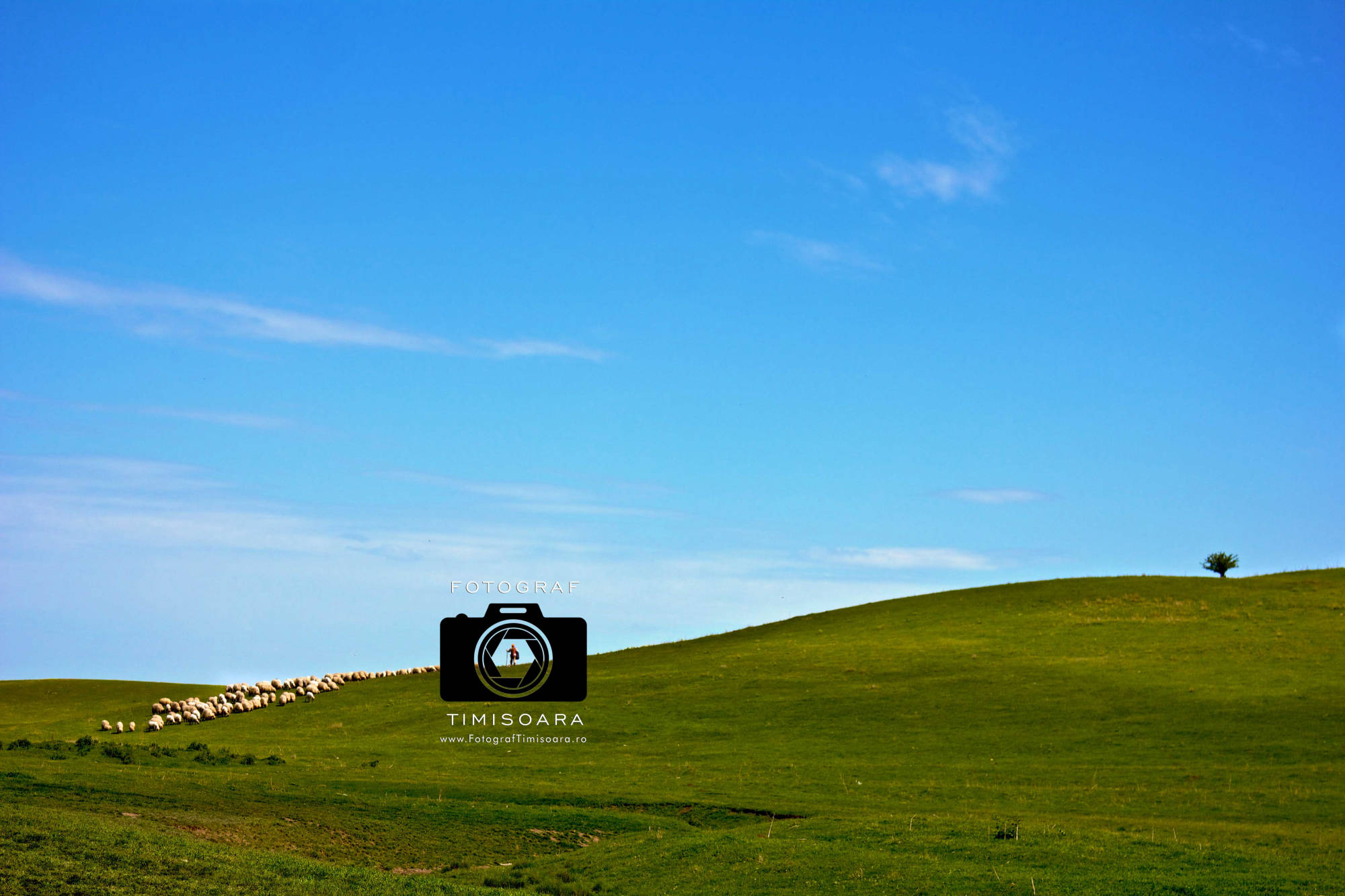 Fotograf Timisoara, Foto Video Timisoara