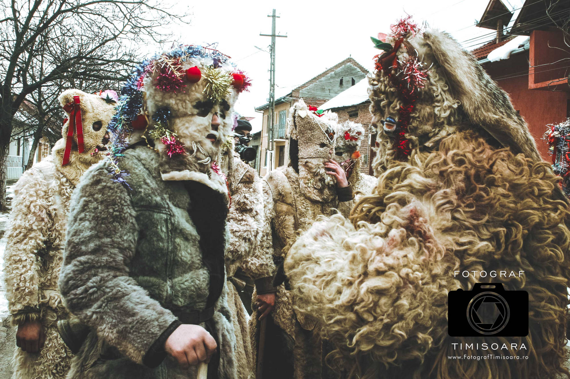 Fotograf Timisoara, Foto Video Timisoara