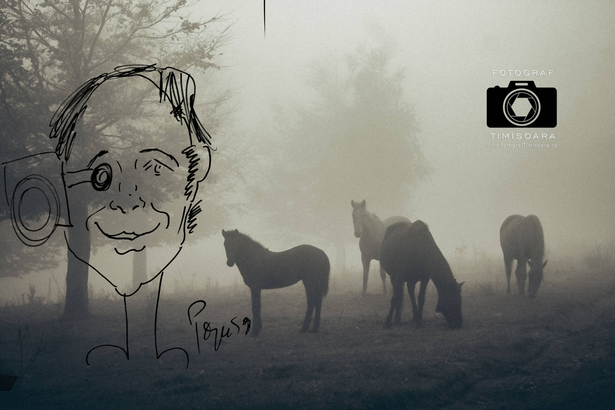 Fotograf Timisoara, Foto Video Timisoara